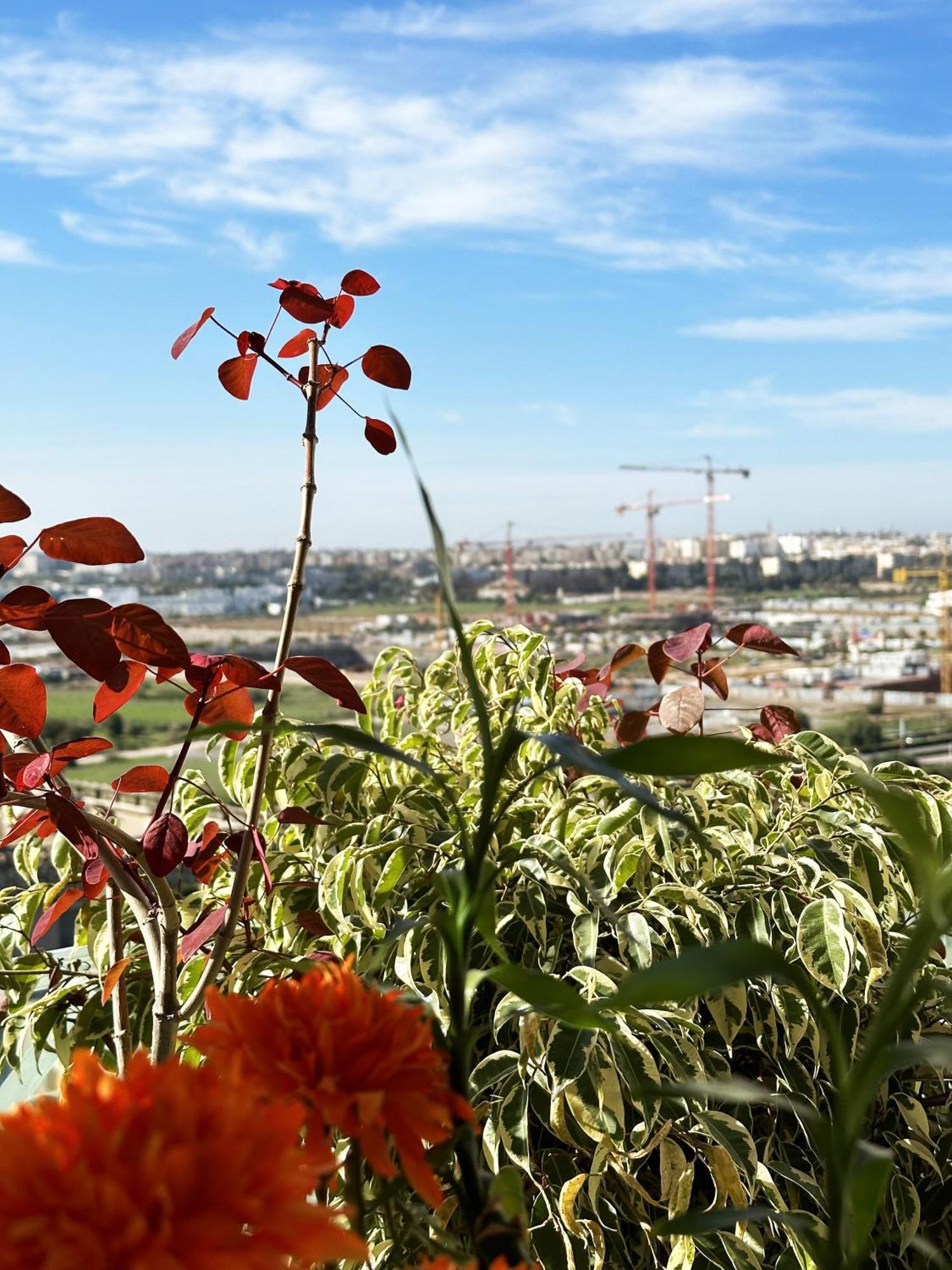Anfa Louise Lägenhet Casablanca Exteriör bild